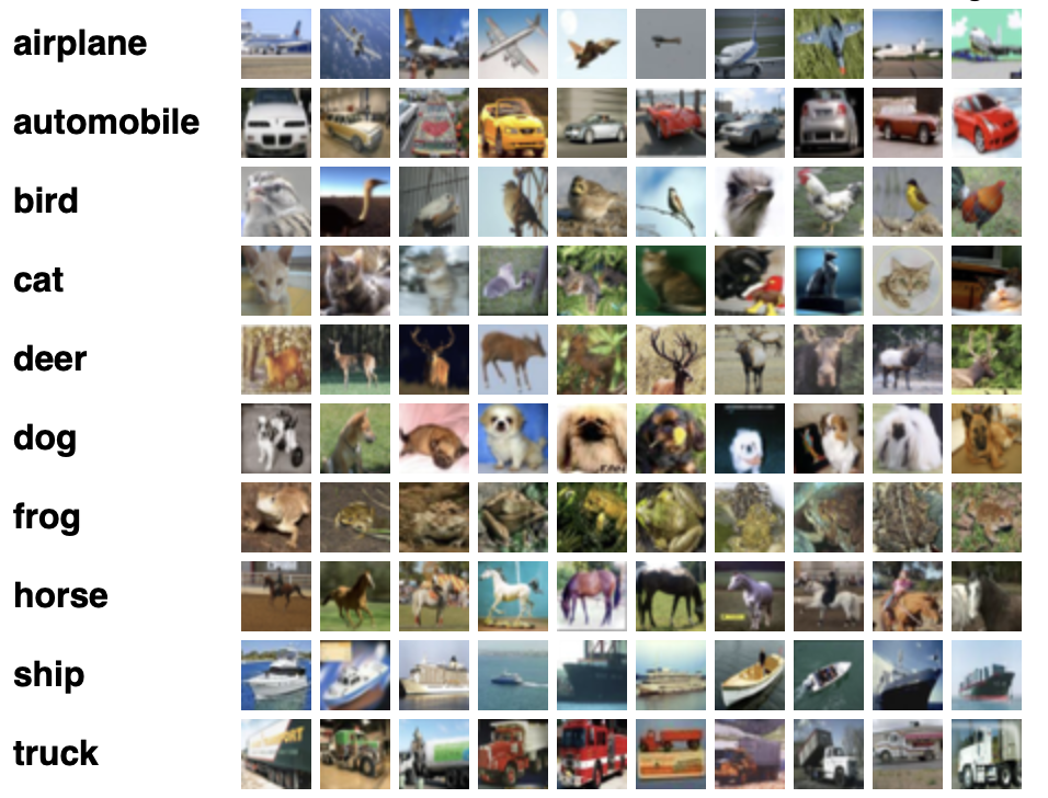 A collage of different animals AI-generated content may be incorrect.